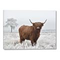 Picture of Cookie, the Cow  _GroupedProduct_Rectangle_Landscape_Photography _GroupedProduct_Rectangle_Landscape_Canvas_