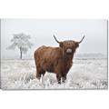 Picture of Cookie, the Cow  _GroupedProduct_Rectangle_Landscape_Photography _GroupedProduct_Rectangle_Landscape_Canvas_