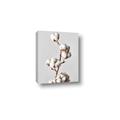 Picture of Cotton _GroupedProduct_Rectangle_Portrait_Photography _GroupedProduct_Rectangle_Portrait_Canvas_
