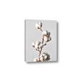 Picture of Cotton _GroupedProduct_Rectangle_Portrait_Photography _GroupedProduct_Rectangle_Portrait_Canvas_