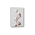 Picture of Cotton _GroupedProduct_Rectangle_Portrait_Photography _GroupedProduct_Rectangle_Portrait_Canvas_
