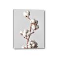 Picture of Cotton _GroupedProduct_Rectangle_Portrait_Photography _GroupedProduct_Rectangle_Portrait_Canvas_
