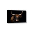 Picture of Dixie, the Bull   _GroupedProduct_Rectangle_Landscape_Photography _GroupedProduct_Rectangle_Landscape_Canvas_
