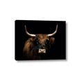 Picture of Dixie, the Bull   _GroupedProduct_Rectangle_Landscape_Photography _GroupedProduct_Rectangle_Landscape_Canvas_
