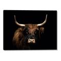 Picture of Dixie, the Bull   _GroupedProduct_Rectangle_Landscape_Photography _GroupedProduct_Rectangle_Landscape_Canvas_