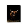 Picture of Dixie, the Bull II _GroupedProduct_Rectangle_Portrait_Photography _GroupedProduct_Rectangle_Portrait_Canvas_