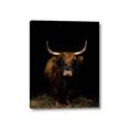 Picture of Dixie, the Bull II _GroupedProduct_Rectangle_Portrait_Photography _GroupedProduct_Rectangle_Portrait_Canvas_