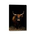 Picture of Dixie, the Bull II _GroupedProduct_Rectangle_Portrait_Photography _GroupedProduct_Rectangle_Portrait_Canvas_