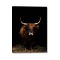 Picture of Dixie, the Bull II _GroupedProduct_Rectangle_Portrait_Photography _GroupedProduct_Rectangle_Portrait_Canvas_