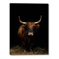 Picture of Dixie, the Bull II _GroupedProduct_Rectangle_Portrait_Photography _GroupedProduct_Rectangle_Portrait_Canvas_