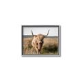 Picture of Beautiful Cow, Bella  _GroupedProduct_Rectangle_Landscape_Photography _GroupedProduct_Rectangle_Landscape_Canvas_Framed_