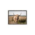 Picture of Beautiful Cow, Bella  _GroupedProduct_Rectangle_Landscape_Photography _GroupedProduct_Rectangle_Landscape_Canvas_Framed_