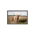 Picture of Beautiful Cow, Bella  _GroupedProduct_Rectangle_Landscape_Photography _GroupedProduct_Rectangle_Landscape_Canvas_Framed_