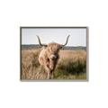 Picture of Beautiful Cow, Bella  _GroupedProduct_Rectangle_Landscape_Photography _GroupedProduct_Rectangle_Landscape_Canvas_Framed_