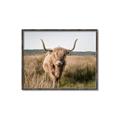 Picture of Beautiful Cow, Bella  _GroupedProduct_Rectangle_Landscape_Photography _GroupedProduct_Rectangle_Landscape_Canvas_Framed_