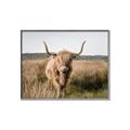 Picture of Beautiful Cow, Bella  _GroupedProduct_Rectangle_Landscape_Photography _GroupedProduct_Rectangle_Landscape_Canvas_Framed_