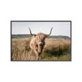 Picture of Beautiful Cow, Bella  _GroupedProduct_Rectangle_Landscape_Photography _GroupedProduct_Rectangle_Landscape_Canvas_Framed_