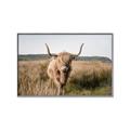 Picture of Beautiful Cow, Bella  _GroupedProduct_Rectangle_Landscape_Photography _GroupedProduct_Rectangle_Landscape_Canvas_Framed_