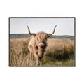 Picture of Beautiful Cow, Bella  _GroupedProduct_Rectangle_Landscape_Photography _GroupedProduct_Rectangle_Landscape_Canvas_Framed_