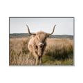 Picture of Beautiful Cow, Bella  _GroupedProduct_Rectangle_Landscape_Photography _GroupedProduct_Rectangle_Landscape_Canvas_Framed_