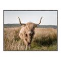 Picture of Beautiful Cow, Bella  _GroupedProduct_Rectangle_Landscape_Photography _GroupedProduct_Rectangle_Landscape_Canvas_Framed_