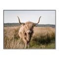 Picture of Beautiful Cow, Bella  _GroupedProduct_Rectangle_Landscape_Photography _GroupedProduct_Rectangle_Landscape_Canvas_Framed_