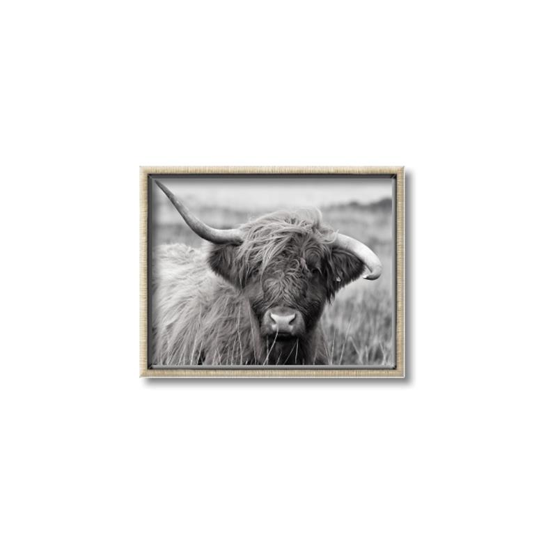 Picture of Betty  _GroupedProduct_Rectangle_Landscape_Photography _GroupedProduct_Rectangle_Landscape_Canvas_Framed_