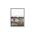 Picture of Bicycle Basket _GroupedProduct_Rectangle_Portrait_Photography _GroupedProduct_Rectangle_Portrait_Canvas_Framed_