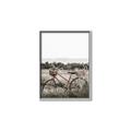 Picture of Bicycle Basket _GroupedProduct_Rectangle_Portrait_Photography _GroupedProduct_Rectangle_Portrait_Canvas_Framed_