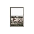 Picture of Bicycle Basket _GroupedProduct_Rectangle_Portrait_Photography _GroupedProduct_Rectangle_Portrait_Canvas_Framed_