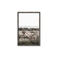 Picture of Bicycle Basket _GroupedProduct_Rectangle_Portrait_Photography _GroupedProduct_Rectangle_Portrait_Canvas_Framed_