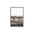 Picture of Bicycle Basket _GroupedProduct_Rectangle_Portrait_Photography _GroupedProduct_Rectangle_Portrait_Canvas_Framed_