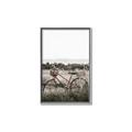 Picture of Bicycle Basket _GroupedProduct_Rectangle_Portrait_Photography _GroupedProduct_Rectangle_Portrait_Canvas_Framed_