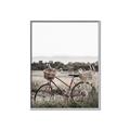 Picture of Bicycle Basket _GroupedProduct_Rectangle_Portrait_Photography _GroupedProduct_Rectangle_Portrait_Canvas_Framed_
