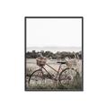 Picture of Bicycle Basket _GroupedProduct_Rectangle_Portrait_Photography _GroupedProduct_Rectangle_Portrait_Canvas_Framed_