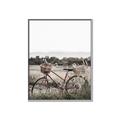 Picture of Bicycle Basket _GroupedProduct_Rectangle_Portrait_Photography _GroupedProduct_Rectangle_Portrait_Canvas_Framed_
