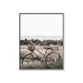 Picture of Bicycle Basket _GroupedProduct_Rectangle_Portrait_Photography _GroupedProduct_Rectangle_Portrait_Canvas_Framed_