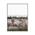 Picture of Bicycle Basket _GroupedProduct_Rectangle_Portrait_Photography _GroupedProduct_Rectangle_Portrait_Canvas_Framed_