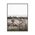 Picture of Bicycle Basket _GroupedProduct_Rectangle_Portrait_Photography _GroupedProduct_Rectangle_Portrait_Canvas_Framed_