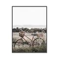 Picture of Bicycle Basket _GroupedProduct_Rectangle_Portrait_Photography _GroupedProduct_Rectangle_Portrait_Canvas_Framed_