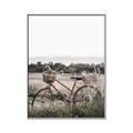 Picture of Bicycle Basket _GroupedProduct_Rectangle_Portrait_Photography _GroupedProduct_Rectangle_Portrait_Canvas_Framed_