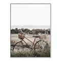 Picture of Bicycle Basket _GroupedProduct_Rectangle_Portrait_Photography _GroupedProduct_Rectangle_Portrait_Canvas_Framed_