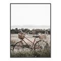 Picture of Bicycle Basket _GroupedProduct_Rectangle_Portrait_Photography _GroupedProduct_Rectangle_Portrait_Canvas_Framed_