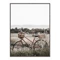 Picture of Bicycle Basket _GroupedProduct_Rectangle_Portrait_Photography _GroupedProduct_Rectangle_Portrait_Canvas_Framed_