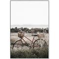 Picture of Bicycle Basket _GroupedProduct_Rectangle_Portrait_Photography _GroupedProduct_Rectangle_Portrait_Canvas_Framed_