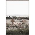 Picture of Bicycle Basket _GroupedProduct_Rectangle_Portrait_Photography _GroupedProduct_Rectangle_Portrait_Canvas_Framed_