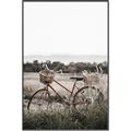 Picture of Bicycle Basket _GroupedProduct_Rectangle_Portrait_Photography _GroupedProduct_Rectangle_Portrait_Canvas_Framed_