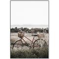 Picture of Bicycle Basket _GroupedProduct_Rectangle_Portrait_Photography _GroupedProduct_Rectangle_Portrait_Canvas_Framed_