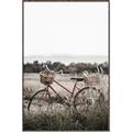 Picture of Bicycle Basket _GroupedProduct_Rectangle_Portrait_Photography _GroupedProduct_Rectangle_Portrait_Canvas_Framed_