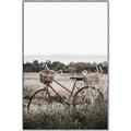 Picture of Bicycle Basket _GroupedProduct_Rectangle_Portrait_Photography _GroupedProduct_Rectangle_Portrait_Canvas_Framed_